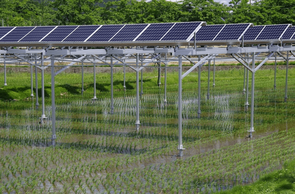 イタリア政府、農地への太陽光発電システムの設置を禁止