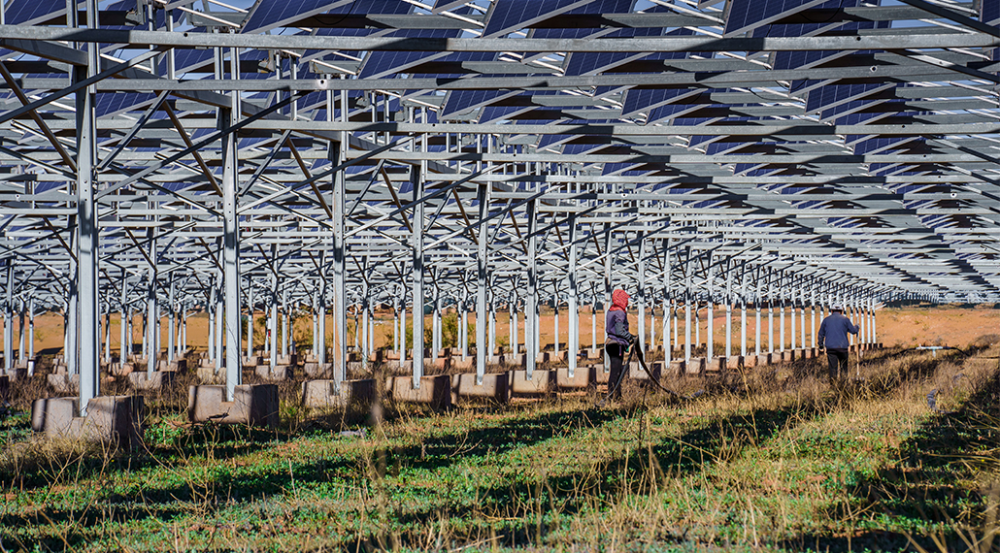 電力と収穫の共生：太陽光発電と農業の持続可能な発展の探求