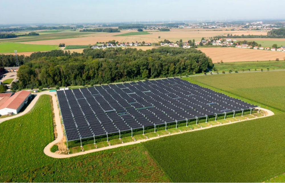 フランスのTSE社が2.9MWの農業用太陽光発電所を建設
