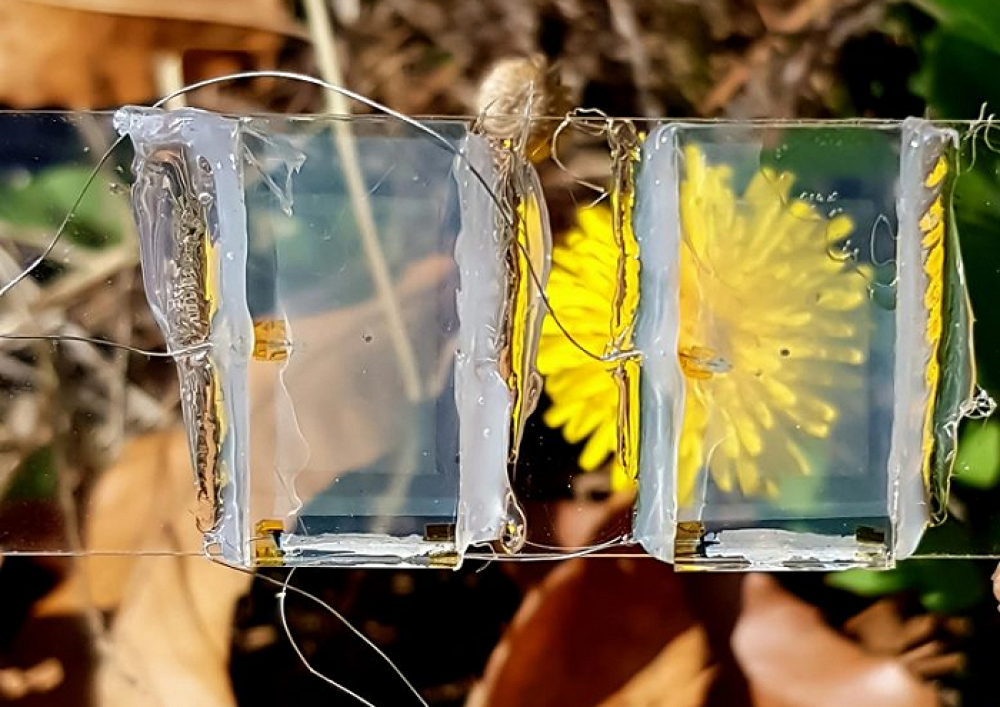 韓国の科学者、世界初の透明薄膜太陽電池の開発に成功