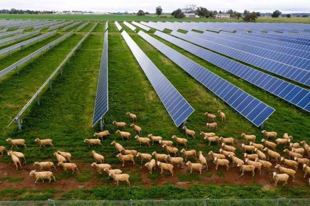 Neoen社 2030 年までにオーストラリアで再生可能エネルギー発電設備導入量10 GWの達成を目指す